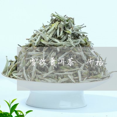 雪牧普洱茶 价格/2023041292716